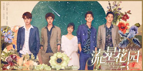 中国ドラマ『流星花园2018』 Meteor Garden 第1集～第6集 流星花園2018 花より男子